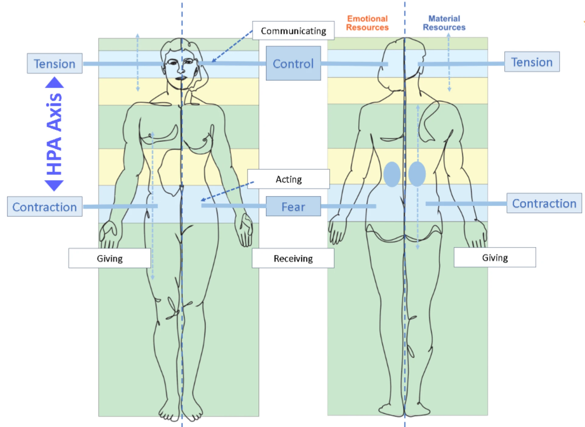 O diagrama da Matriz Corporal: silhuetas frontal e dorsal mapeando sensações com recursos internos, com rótulos de recursos emocionais e materiais