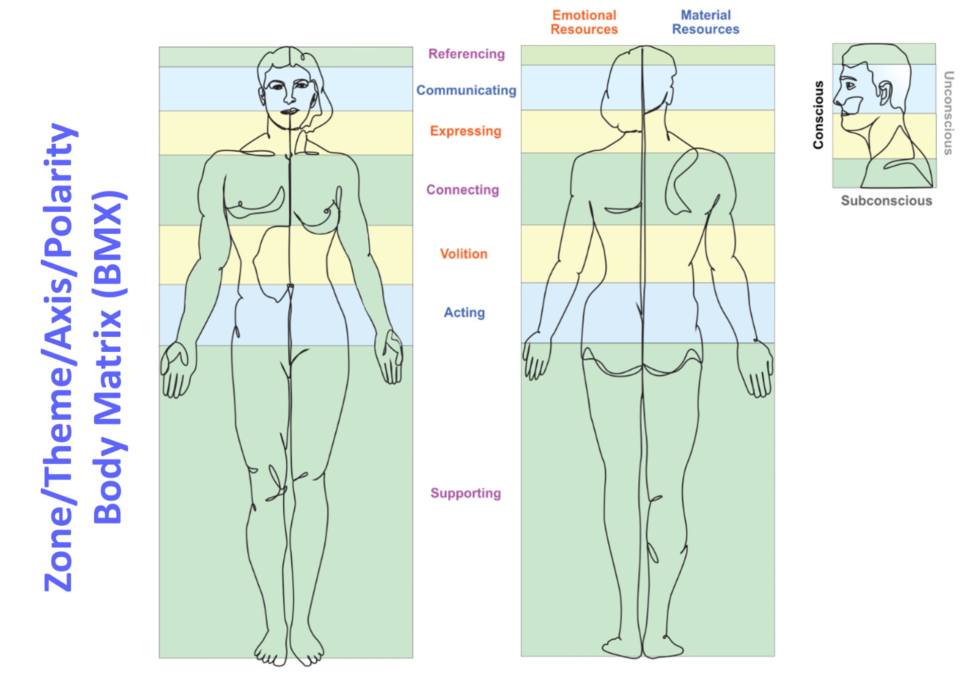 Diagrama da Matriz Corporal (BMX): zonas, temas, eixos e polaridades mapeados no corpo humano